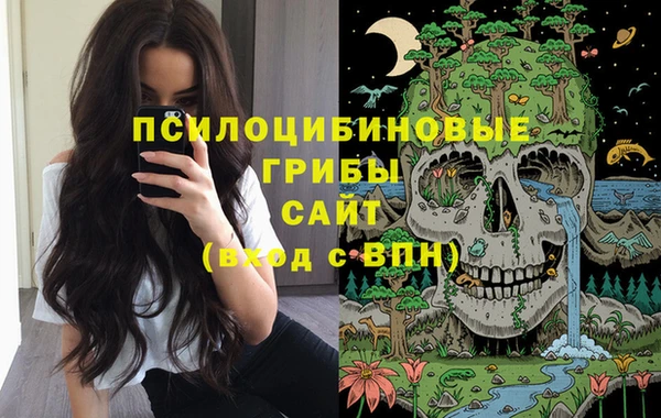 дурь Алзамай