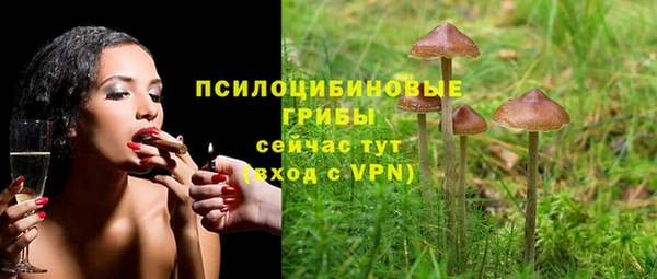 дурь Алзамай