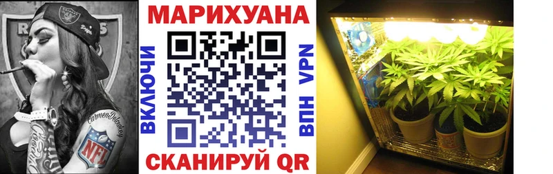 Канабис VHQ где найти наркотики Кореновск